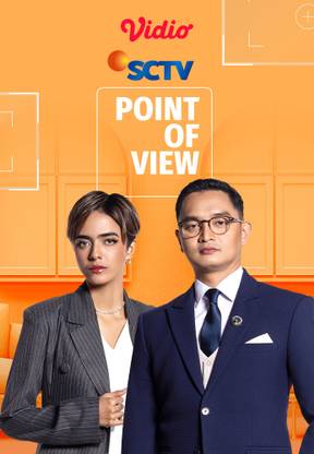POV (Point of View)